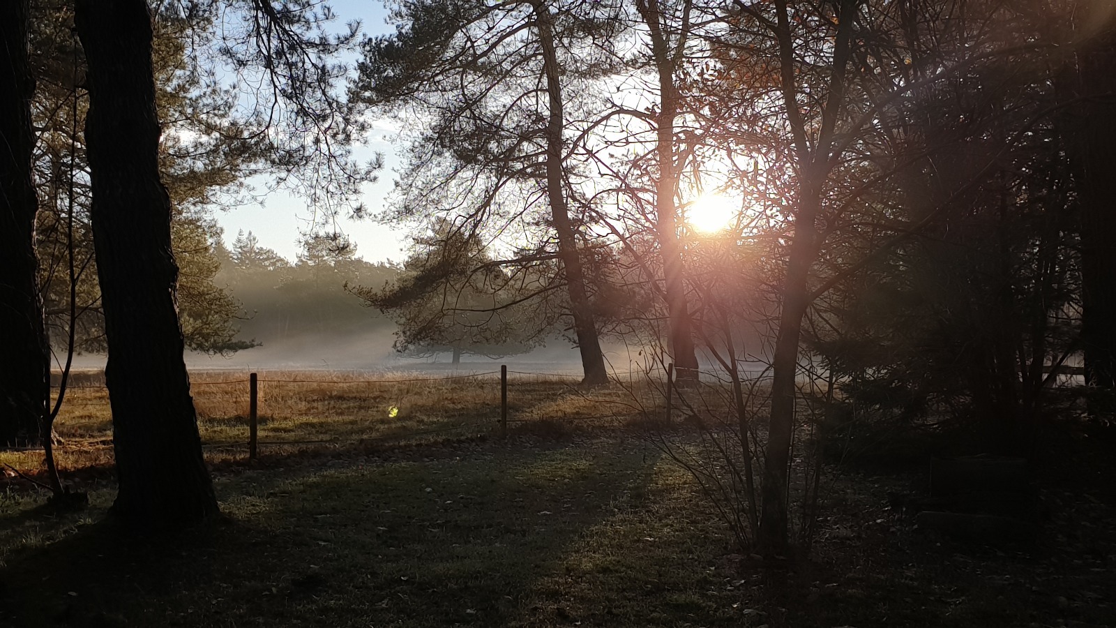 Volgauto vervoer bij uitvaart, crematie en begrafenis voor uitvaartvervoer, crematievervoer en begrafenisvervoer
